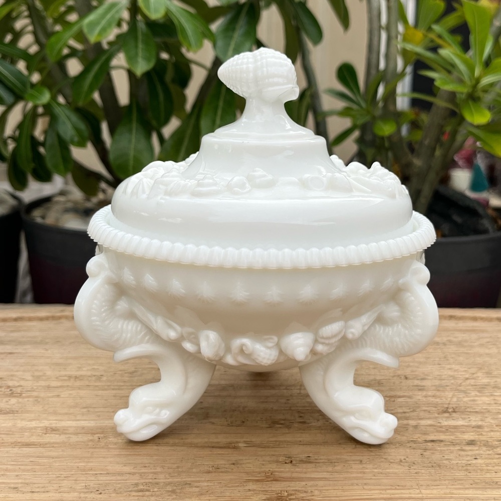 Vintage Westmoreland Milk Glass Argonaut Lidded Dish